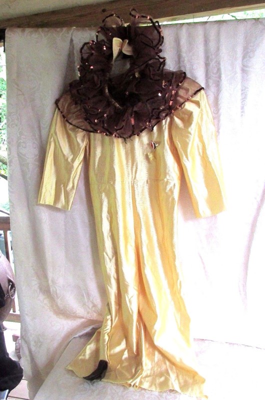 Wolffe Fording Company Lion Costume Halloween Theatrical Small child