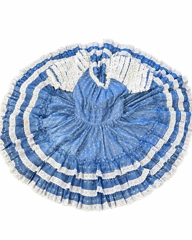 Barbara’s Western Fashions Lace Square Dance Dress Cottagecore Flowers Blue 12