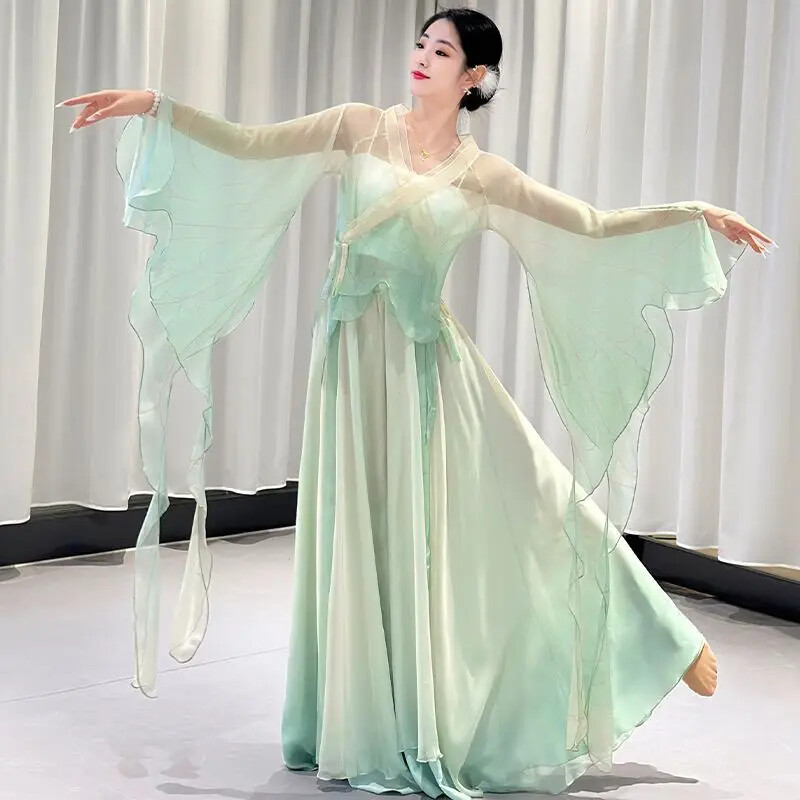 Chinese Dance Dress Women Classical Dancer Performance Costumes Practice Clothes
