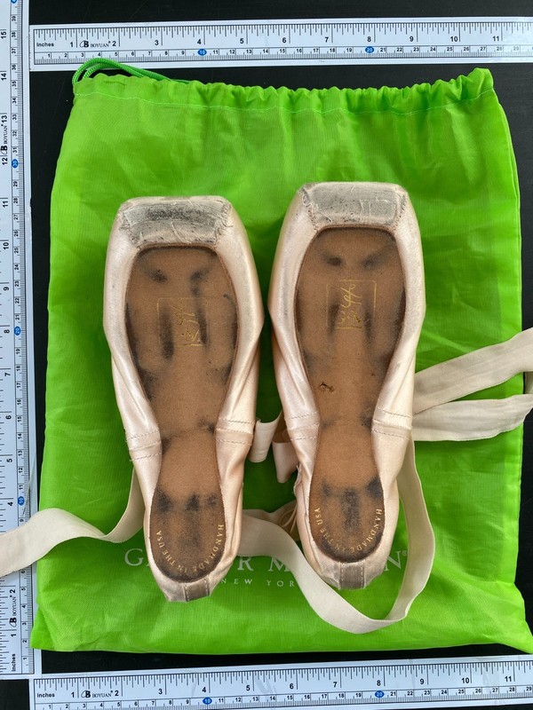US American Made Gaynor Minden GM Pointe Shoes Hard Shank Size 8 Box 5 SK-8M5HDL gallery