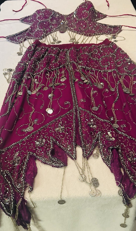 Purple Belly Dance Costume for Women with Coin Embellishments Geometric Prints