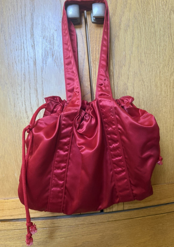 Adult Baile Ballet Folklorio Dress, Jalisco with Rebozo, Braids and Satin Bag gallery