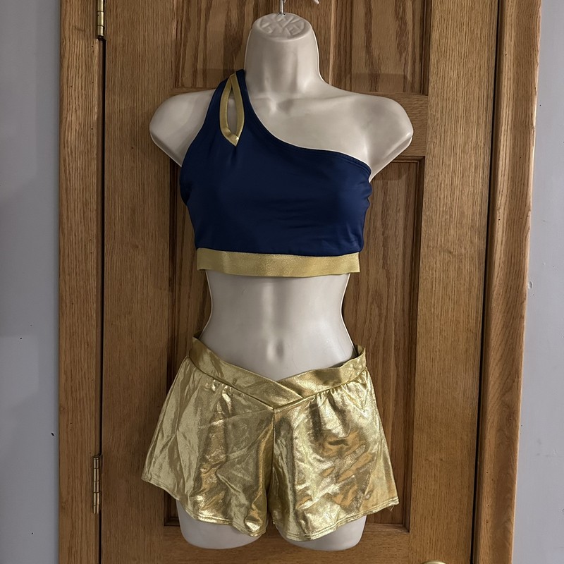The Line Up Pro Cheer Dance NFL NBA NHL Blue Metallic Gold Audition Costume M