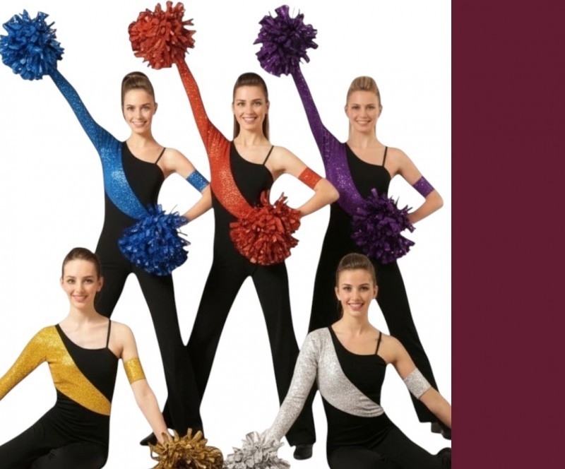 Lot Of 8 We Got Game Burgundy/Black Unitard Jumpsuit Mixed Adults Dance Costume