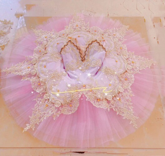 Light Blue Professional Ballet Tutu Lace Appliques Girls Pleated Tutu Dress
