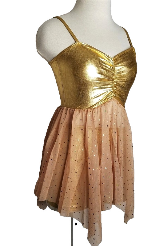 Lot of 4 How A Heart Breaks GOLD 4-Adult Medium Dance Costume Bra Top/Hot Shorts gallery