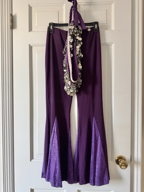 3 Piece Set Belly Dance Costume Velvet Silver Coin Hip Scarf gallery