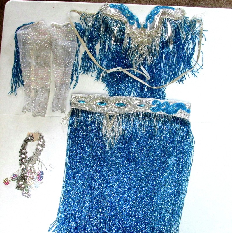 Professional Belly Dance Costume – Blue Long Beaded Fringe – Strapless Bra 34B/C