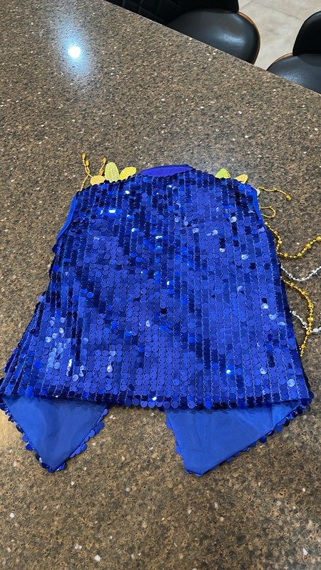 Boys Dance Costume, Sequin, Silver Blue White, Size 4T gallery