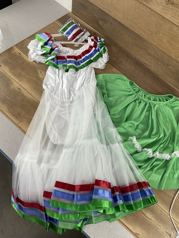Art Stone "Lovely Senoritas" Dance Costume Kelly Green Size Medium Adult gallery