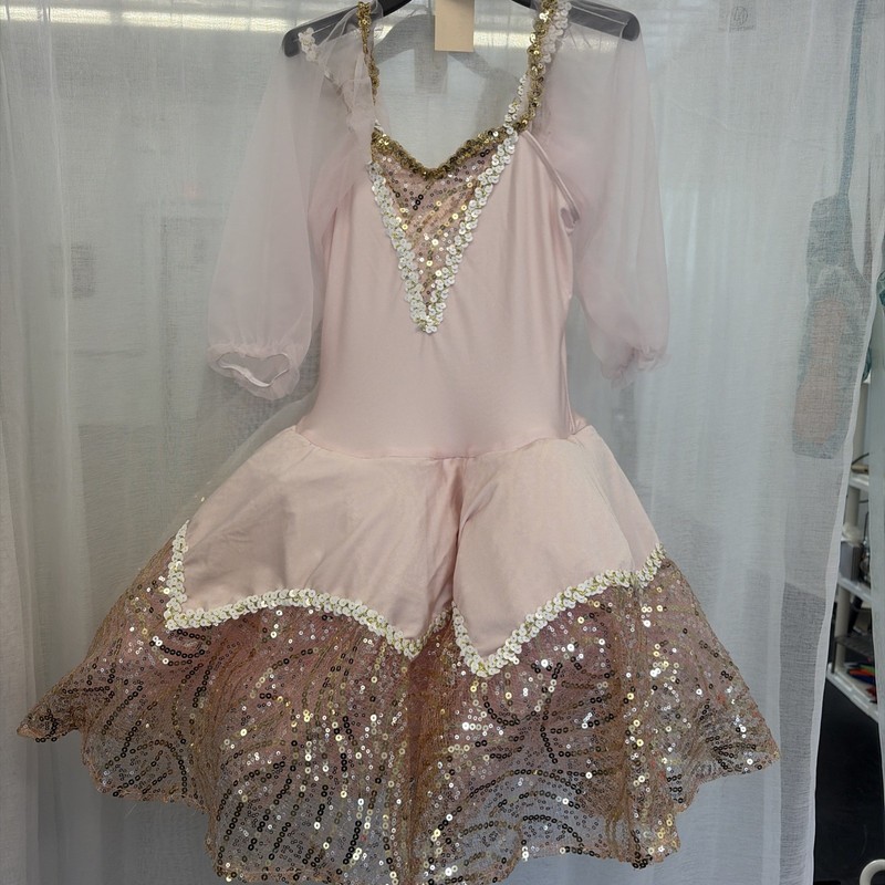 Large Child, Beautiful Pink And Gold Tutu Ballet Costume Revolution