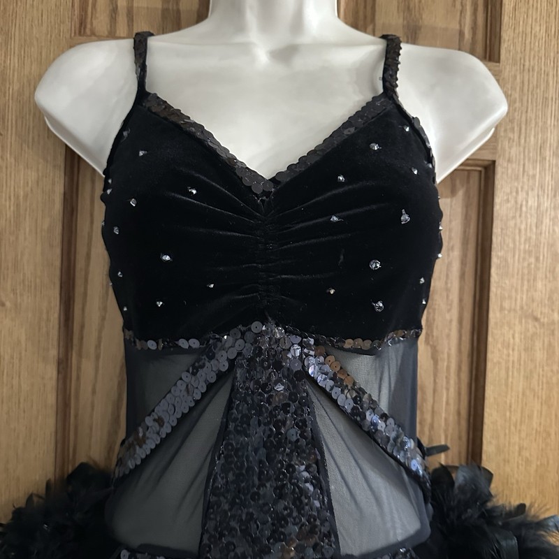 The Line Up Black Velvet Mesh Rhinestone Feather Bustle Solo Dance Costume MA gallery