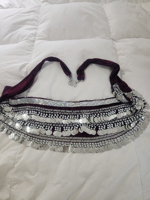 Belly Lady Belly Dance Hip Scarf, Multi-Row Silver Coin Dance Skirt