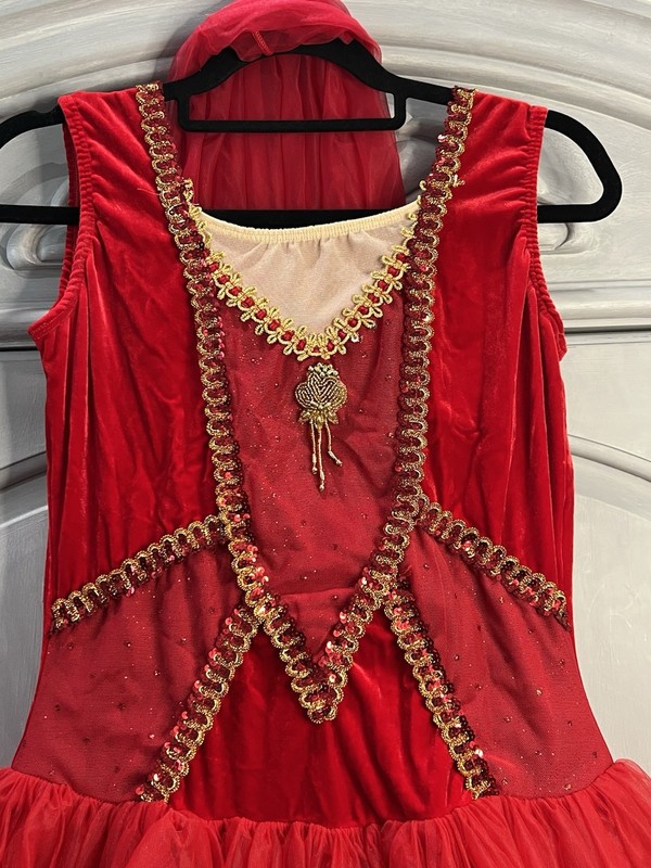 Dansco Women’s Large Red Gold Tulle Dance Costume gallery