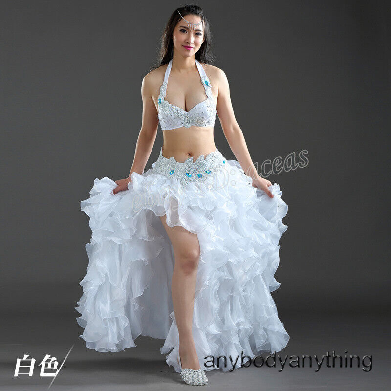 Sexy Belly Dance Costume Professional Bra Skirt Belt Set Egyptian Dancing Bedlah gallery
