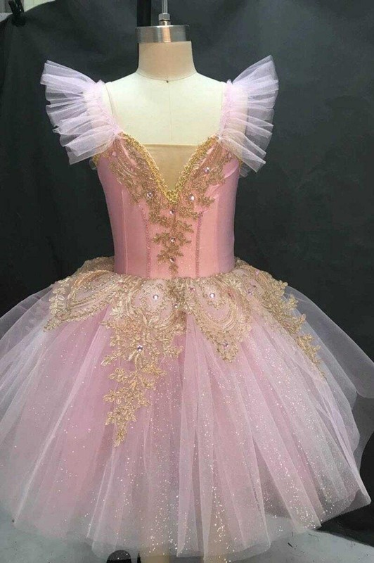 Women’s Performance Adult Ballet Costume Girls Party Dance Gauze Princess Dress