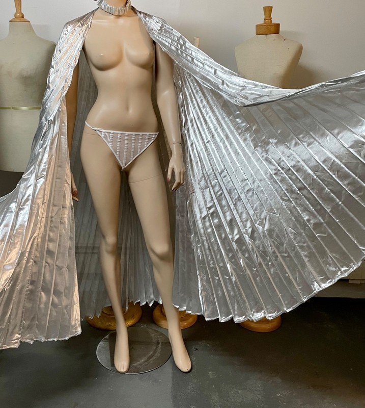 NEW IN BAG Danzia Danzcue Silver Pleated Disco, Angel, Dance Wings Set w/ Wands gallery